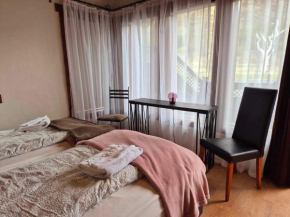 Beautiful Guestroom to rent with a mountain view